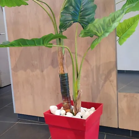Apartmán Escal'home , Design Au Pied De L'aeroport,parkings *